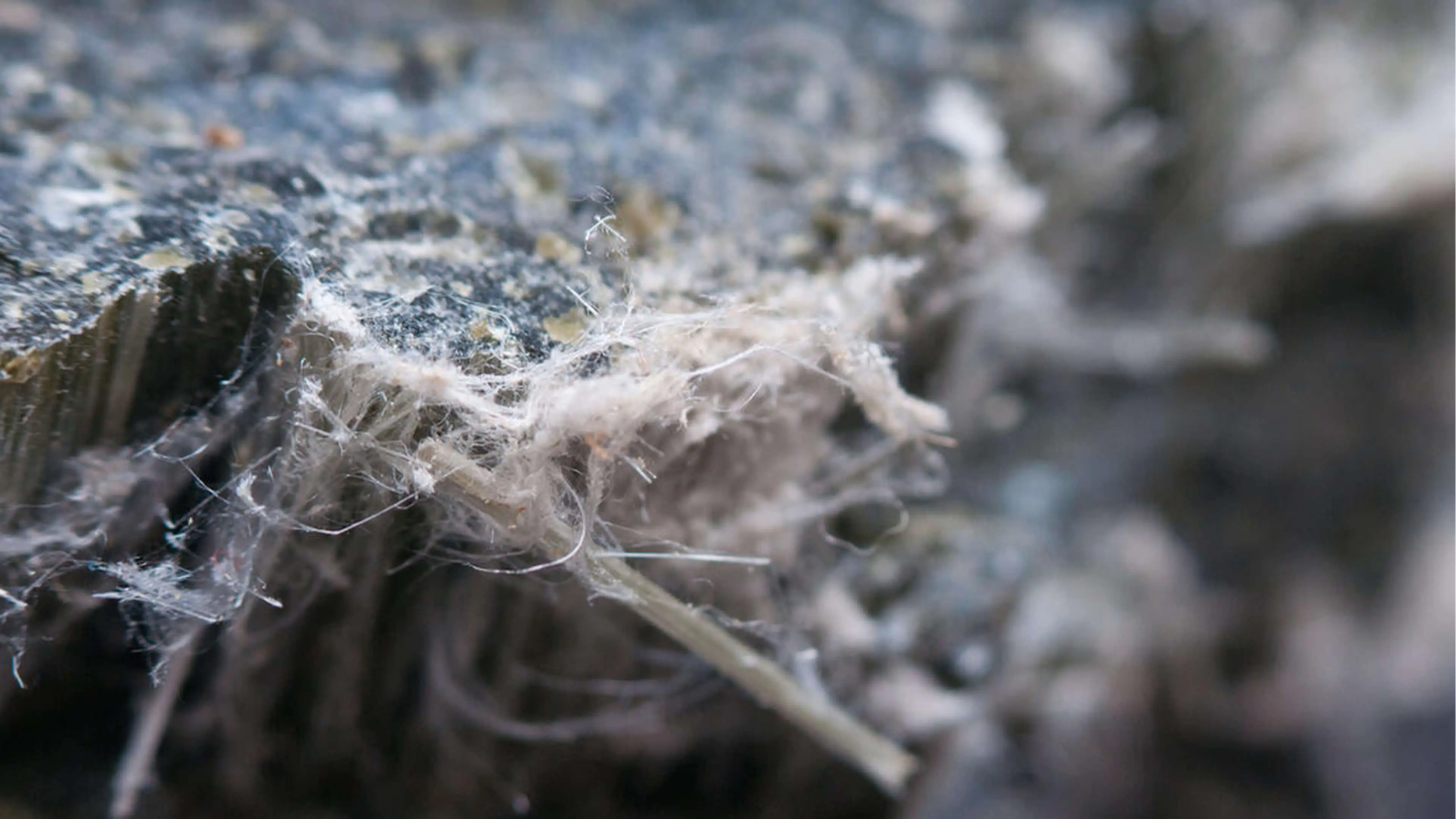Asbestos Awareness – 2 Hour